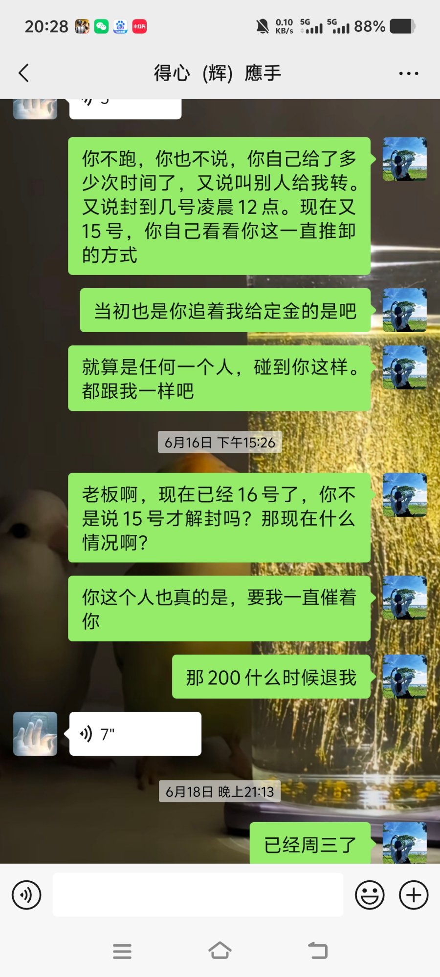 1000096916.jpg