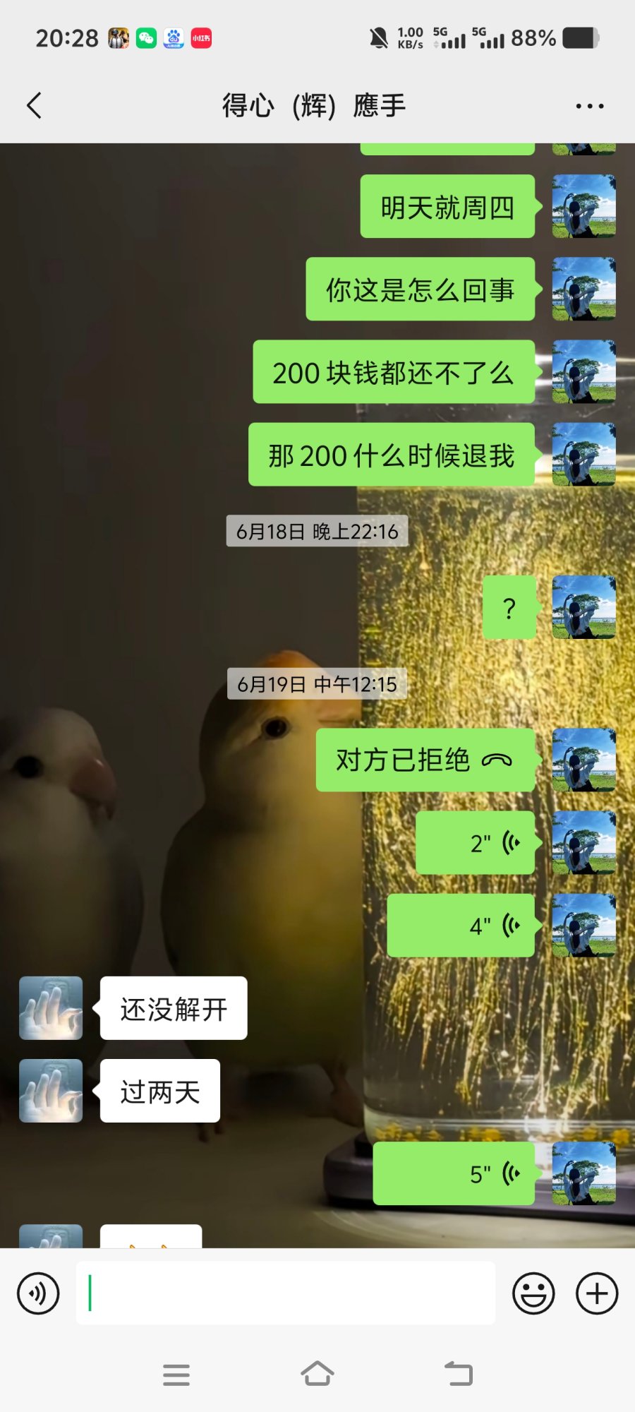 1000096917.jpg