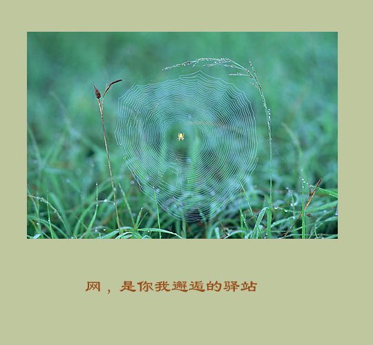 16_9666.jpg