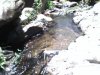 s017.JPG
