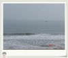 DSC01271.jpg