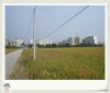 DSC01311.jpg