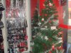 DSC00758.JPG