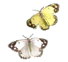 98_89_fa5c0603fc3e36f5.gif