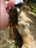 DSC00857.JPG