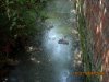 DSCN1180.JPG