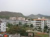 post-4915-1173111746.jpg