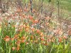 100_0795.jpg