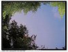 http_imgload(18).jpg