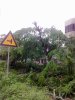 27052011085.jpg