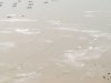 DSC04683.jpg