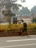 DSC08568.jpg