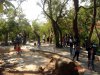 DSC00728.JPG