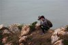 QQ图片20160103103151.jpg