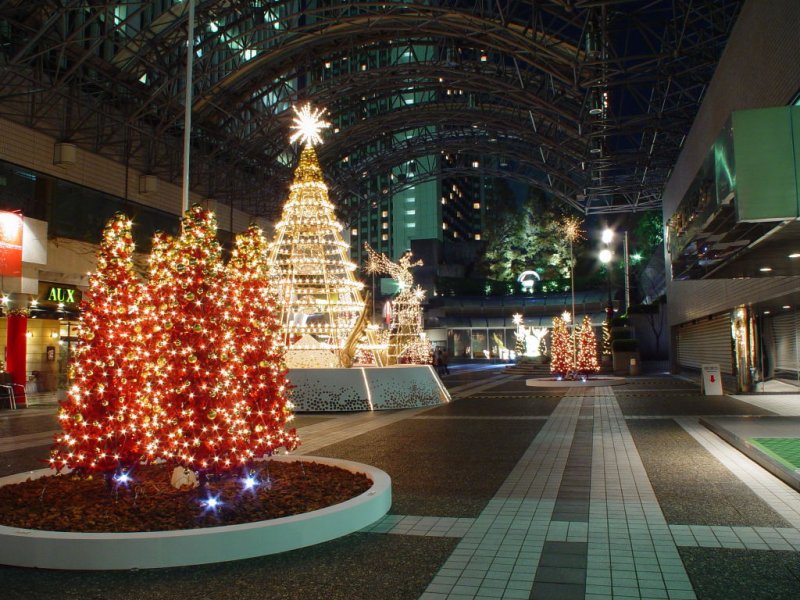 XMASTREE004.jpg