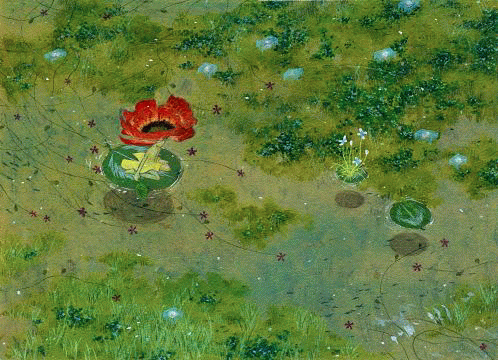 2005110202821904.gif