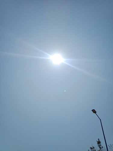 IMG_20200226_124908.jpg