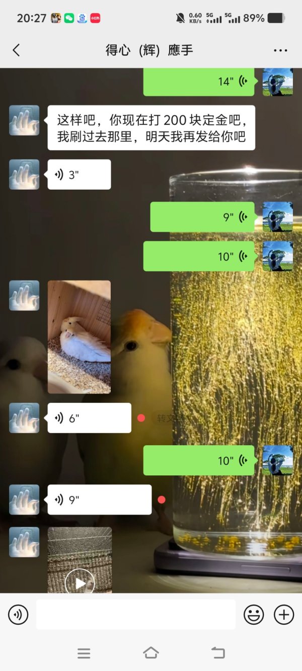 1000096910.jpg