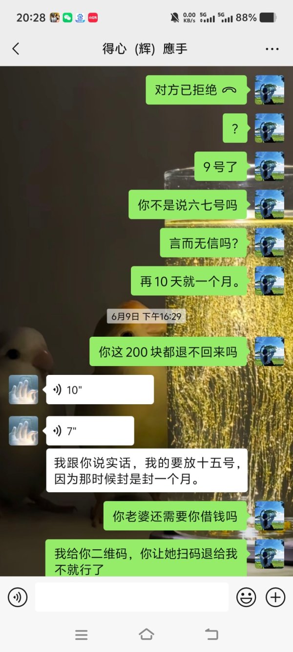 1000096914.jpg