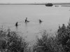 DSC03051.jpg