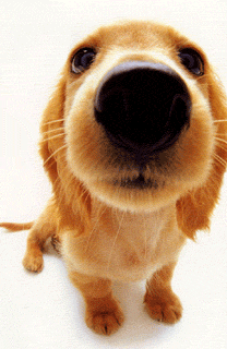 3.gif