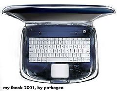 1454463-ibook-embed.jpg