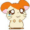 哭.GIF