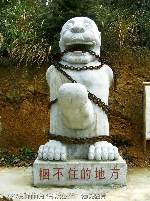 p_60989.jpg