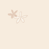 2hanac.gif