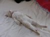 20060206130800_88.jpg