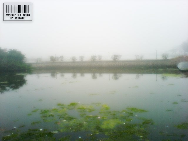 DSC00569.JPG