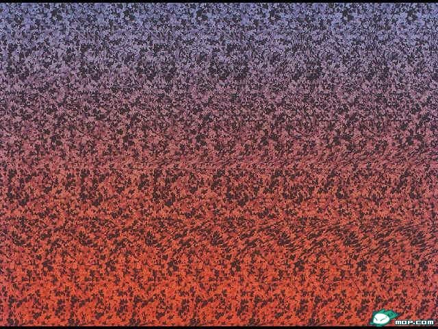 213f9d3e.jpg