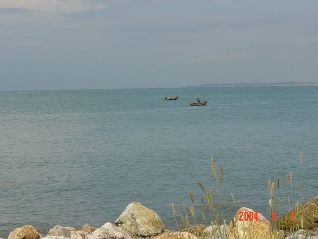 DSC01190.JPG