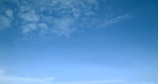 G031.JPG