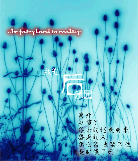 elfgao,2005012620949.gif