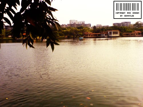 DSC01115.JPG