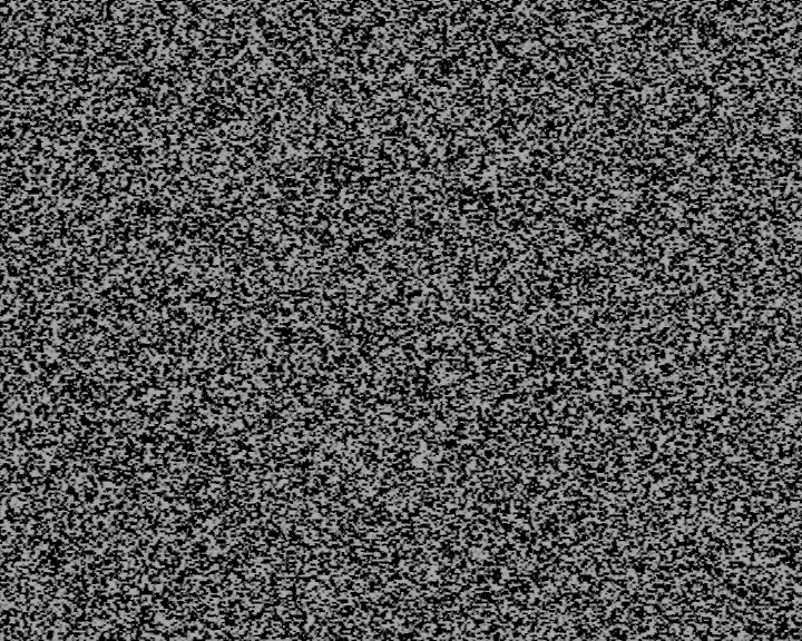 20050202-000.jpg