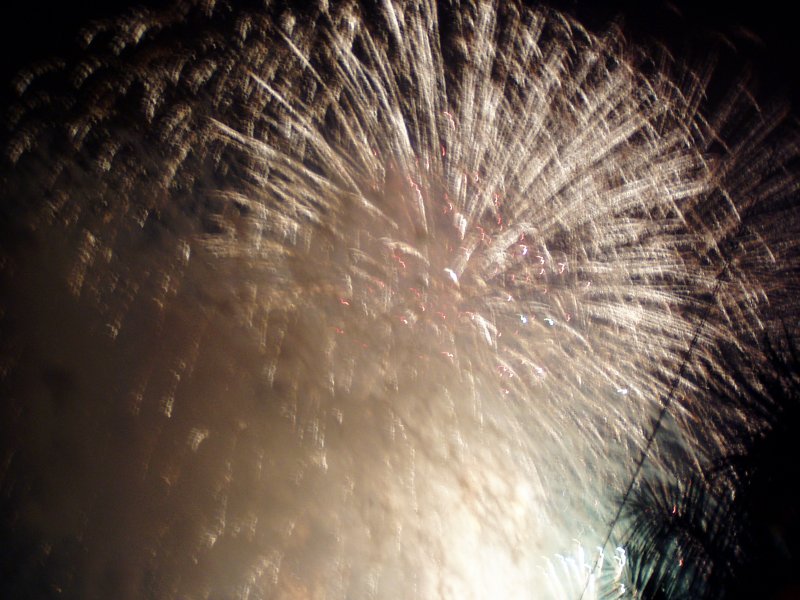 P1010008.JPG