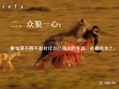 3.gif