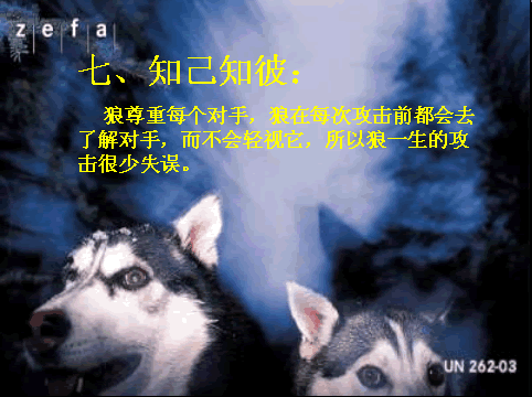 8.gif