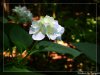 DSCN0410.JPG