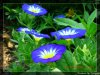 DSCN0534.JPG