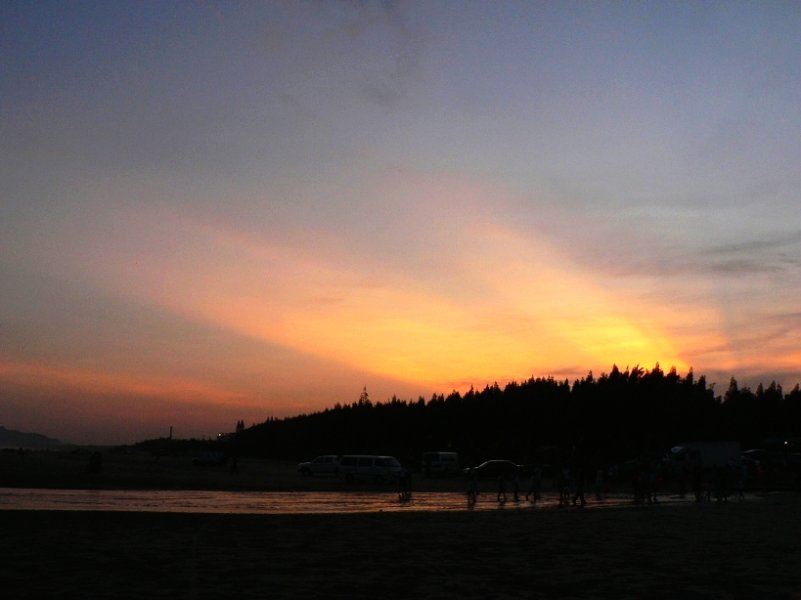P1030875.jpg