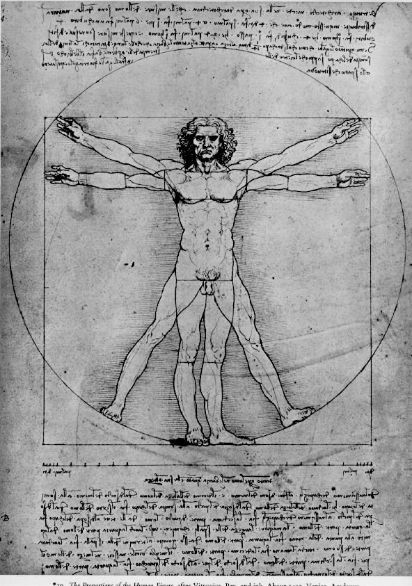 da-vinci-man.jpg