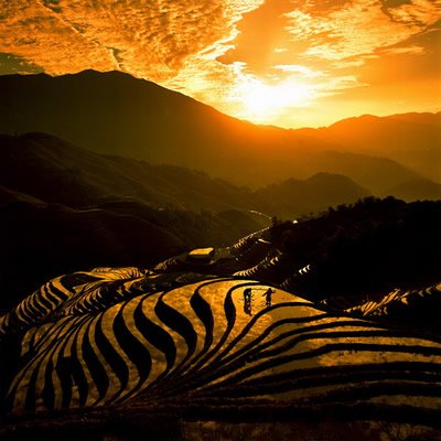 龙脊梯田风景3.jpg