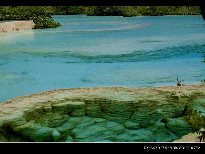 PICT0946.jpg