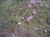 Nov02118.JPG