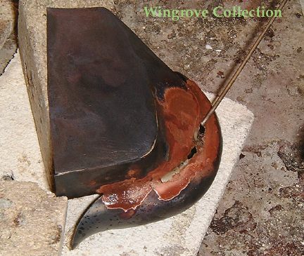 12_224_177.jpg