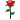 rose :rose: :rose: